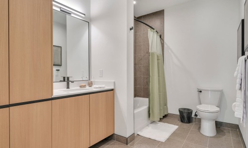 Bathroom options with thoughtful details well-lit bathroom with a shower